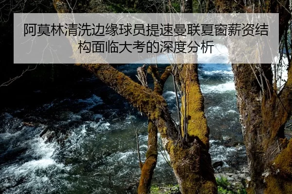 阿莫林清洗边缘球员提速曼联夏窗薪资结构面临大考的深度分析