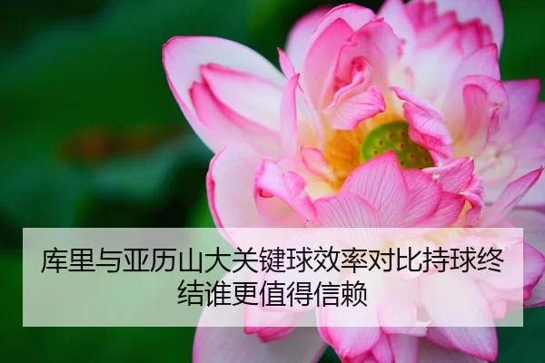 库里与亚历山大关键球效率对比持球终结谁更值得信赖