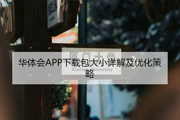 华体会APP下载包大小详解及优化策略