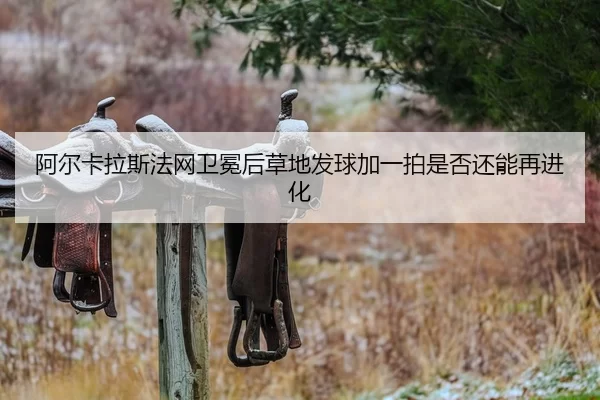 a-er-ka-la-si-fa-wang-wei-mian-hou-cao-di-fa-qiu-jia-yi-pai-shi-fou-hai-neng-zai-jin-hua-2-939.jpg