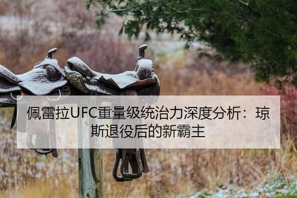 佩雷拉UFC重量级统治力深度分析：琼斯退役后的新霸主