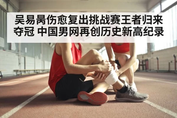 吴易昺伤愈复出挑战赛王者归来夺冠 中国男网再创历史新高纪录
